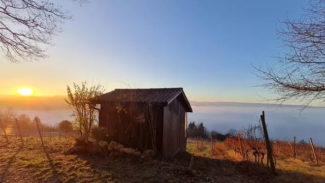 Sonne über Nebelmeer